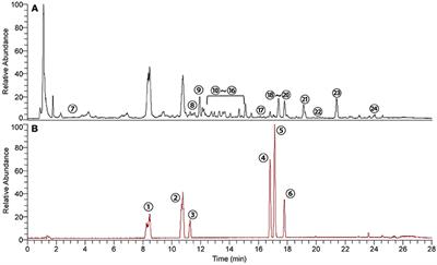 Integrated Serum and Fecal Metabolomics Study of Collagen-Induced Arthritis Rats and the Therapeutic Effects of the Zushima Tablet